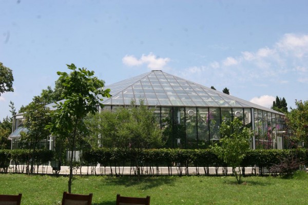 Zeytinburnu Tıbbi Bitkiler Botanik Bahçesi